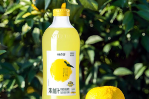 Yuzu Juice Drink 宋柚汁飲品 (1 kg)