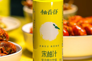 Yuzu Juice Drink 宋柚汁飲品